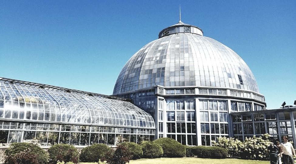 Explore Historic Detroit